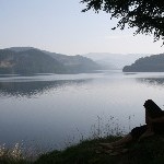 IMG_6580.jpg