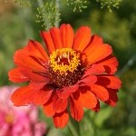 IMG_6749.jpg