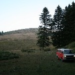 IMG_6939.jpg