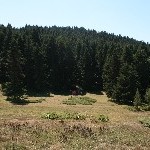 IMG_6955.jpg