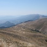 IMG_6971.jpg