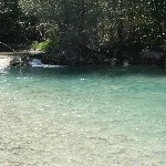 IMG_7122.jpg