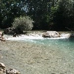IMG_7124.jpg