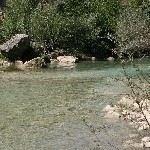 IMG_7125.jpg