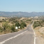IMG_7133.jpg