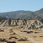 IMG_7139.jpg