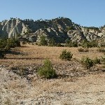 IMG_7142.jpg