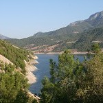 IMG_7201.jpg