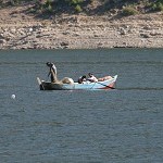 IMG_7213.jpg