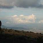 IMG_7260.jpg