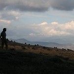 IMG_7262.jpg