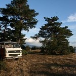 IMG_7267.jpg