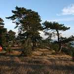 IMG_7269.jpg