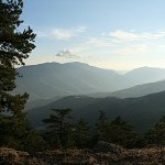 IMG_7271.jpg