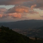 IMG_7288.jpg