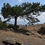 IMG_7336.jpg