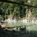 IMG_7352.jpg
