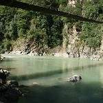 IMG_7355.jpg