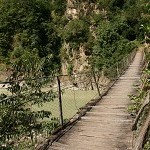IMG_7360.jpg