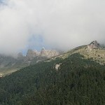 IMG_7372.jpg