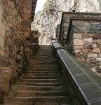 IMG_7413.jpg