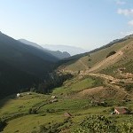 IMG_7428.jpg