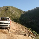 IMG_7437.jpg
