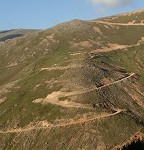IMG_7443.jpg