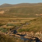 IMG_7459.jpg