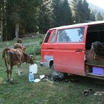 IMG_7472.jpg