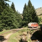 IMG_7483.jpg