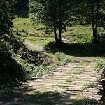 IMG_7489.jpg