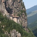 IMG_7508.jpg