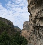IMG_7515.jpg