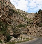 IMG_7521.jpg