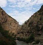 IMG_7528.jpg