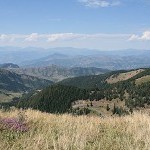 IMG_7533.jpg