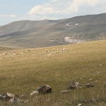 IMG_7542.jpg