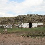 IMG_7546.jpg