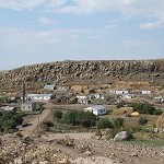 IMG_7550.jpg