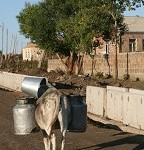 IMG_7690.jpg