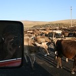 IMG_7693.jpg