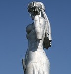 IMG_7721.jpg