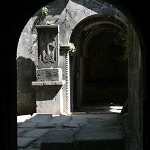 IMG_7849.jpg