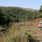 IMG_7883.jpg