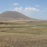 IMG_7916.jpg