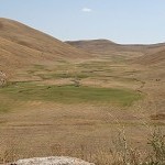 IMG_7918.jpg