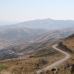 IMG_7923.jpg