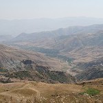 IMG_7926.jpg