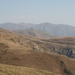 IMG_7929.jpg